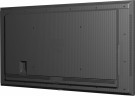 iiyama 75