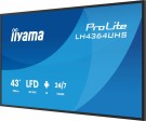 iiyama 43