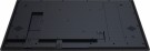 iiyama 55