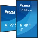 iiyama 43